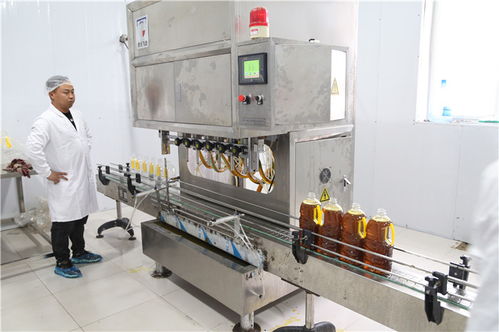 西湖镇五里村 90后小伙返乡创业，打造农产品电商新品牌