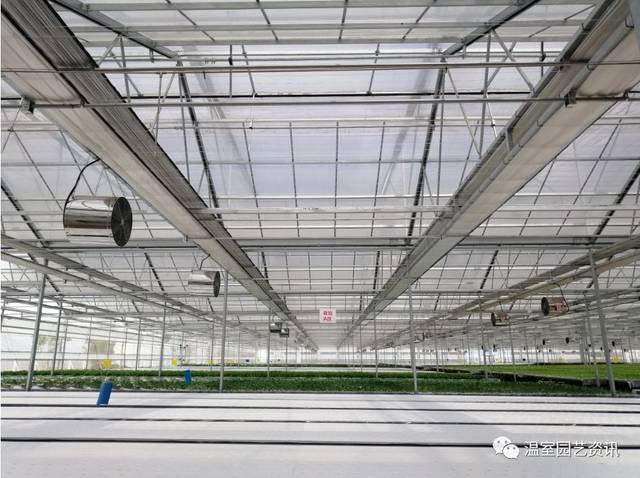 探秘京东植物工厂 产销一体化，破解农产品销售难题！