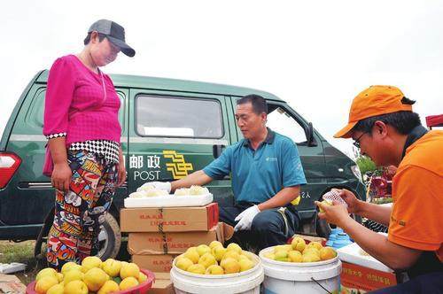山西特色农产品销售模式四突破 阳高大京杏走向精品化之路
