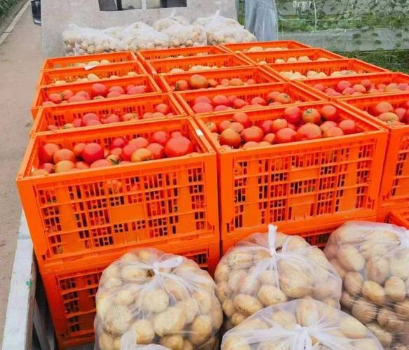 从田间到餐桌 构建稳定高效农产品销售体系的根本之道
