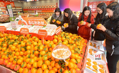 农产品销售 挑战、策略与未来机遇