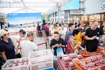 云端上的农庄 数字赋能农业，助力锦江区脱贫攻坚